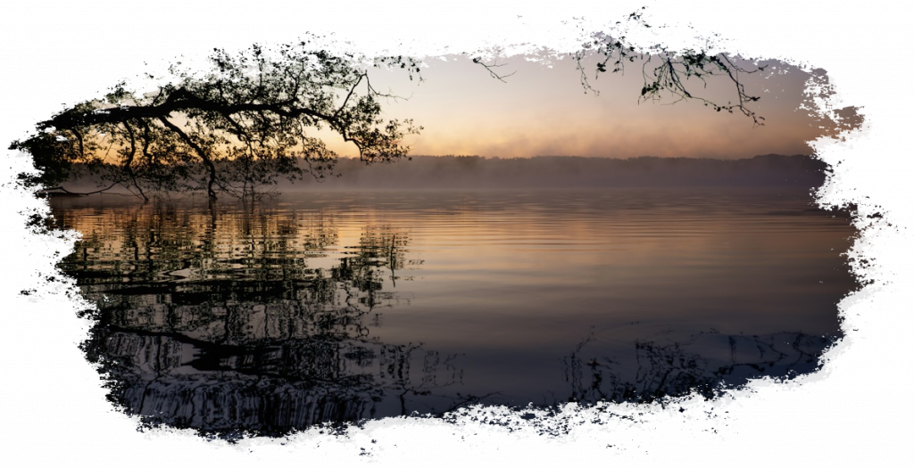 Seeufer im Morgenlicht
