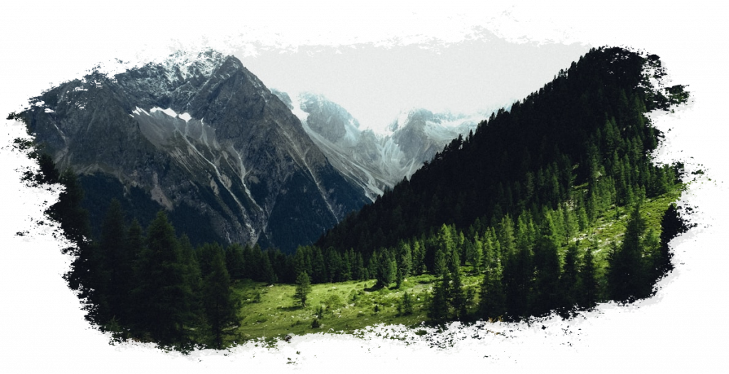 Bergwald vor Alpengipfeln