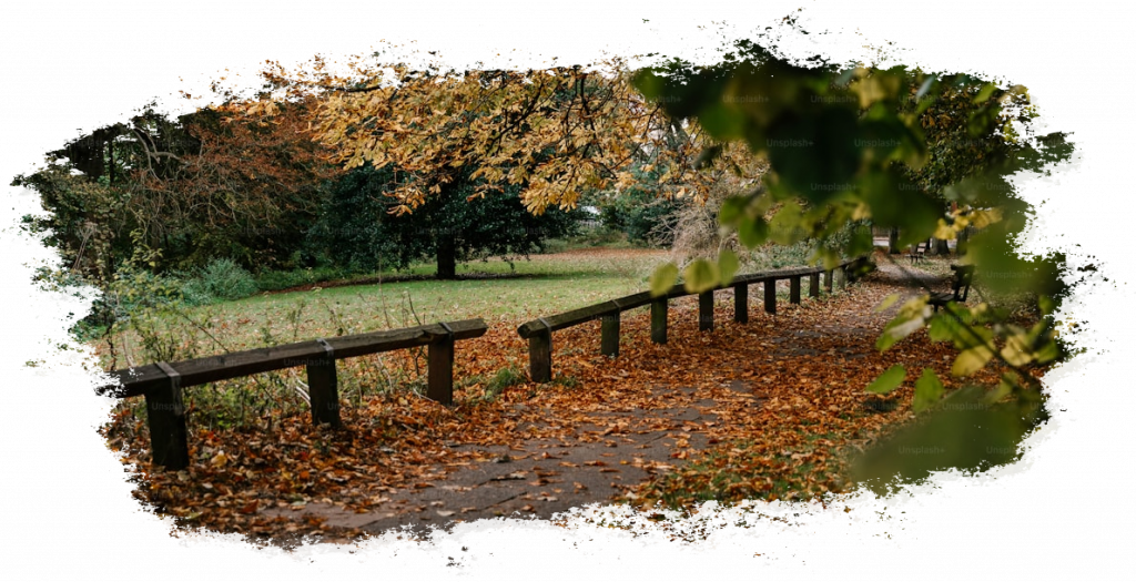 Bank an einem Waldweg
