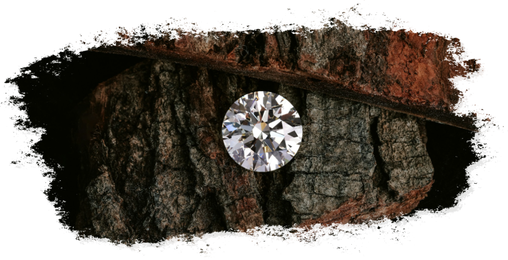 Geschliffener Diamant auf Baumrinde