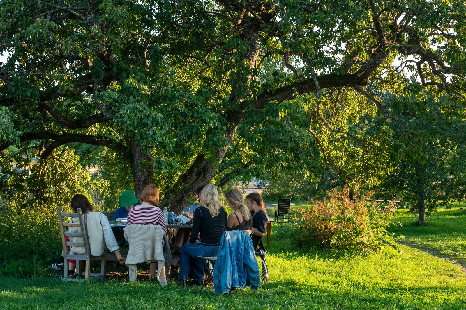 Familie unter einem jungen Baum